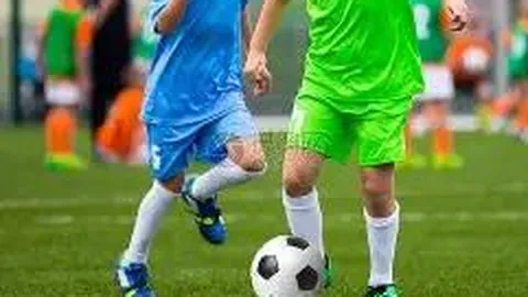 【双色球秘籍大公开】2026017期独家预测：12红球+2蓝球，战绩辉煌，尽在专栏揭秘！