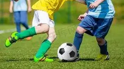 【海滨彩讯】2026026期3D独家预测：海滨精选号码，每日胆码预测大放送！