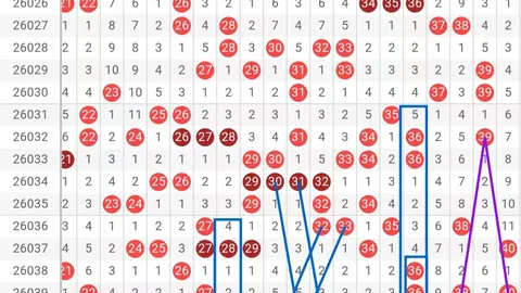 2026045期福彩3D罗歌王推荐质合分析及前区十码