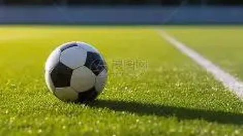 【赢在战长沙】独家揭秘：彩票3D 2026042期合买攻略，十注精选组选，跟我学，轻松赚翻天！